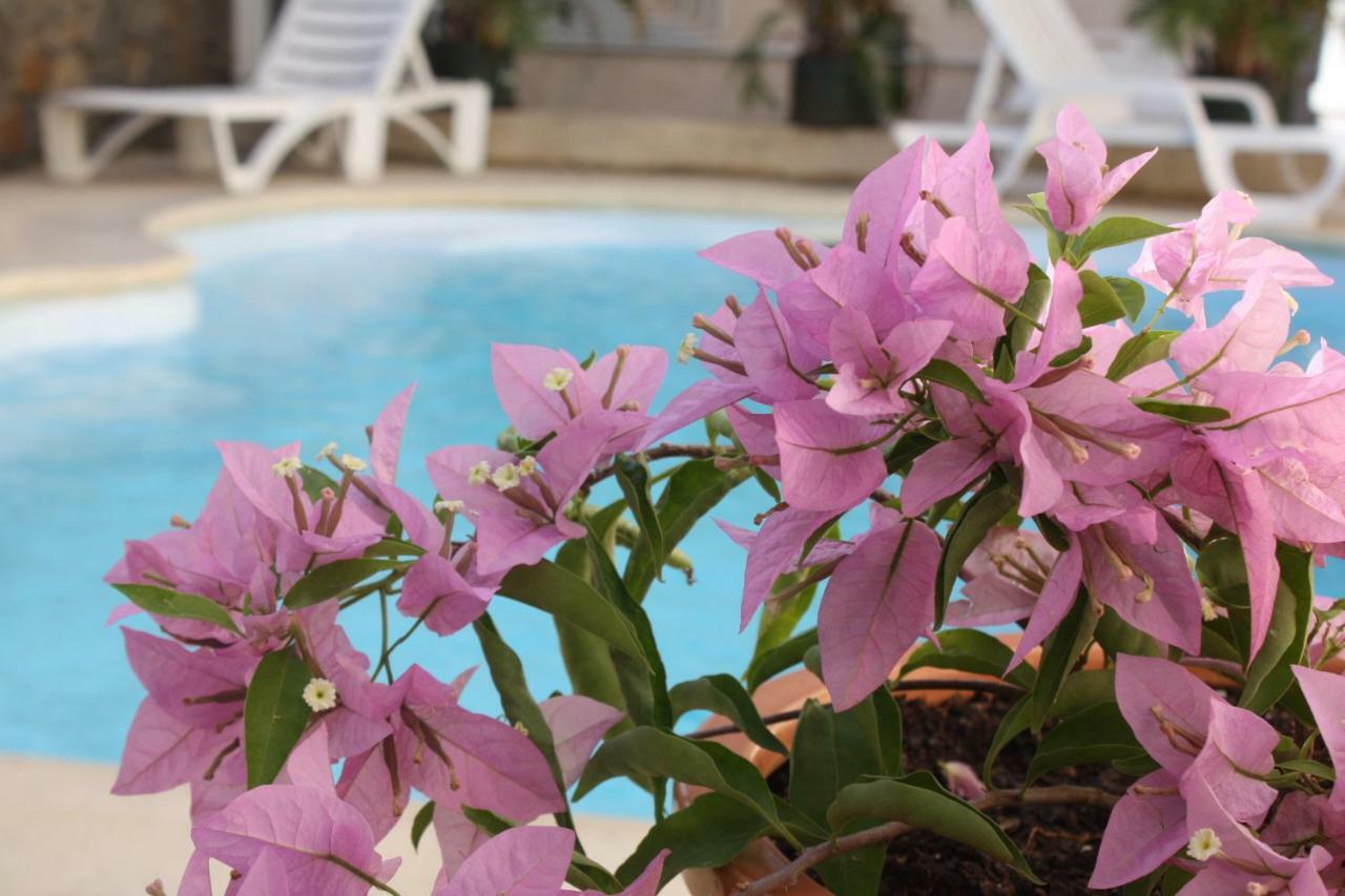 Residence Le Lotus Grand Baie Exterior foto